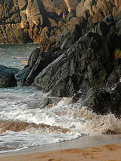 photo gallery id 308594