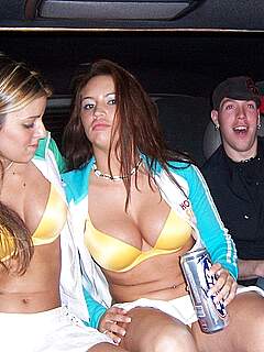 photo gallery id 312111