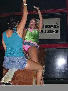 photo gallery id 312117