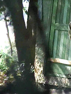 photo gallery id 313030