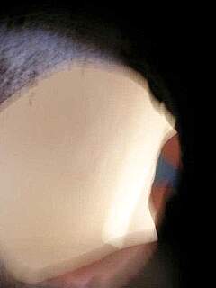 photo gallery id 313051