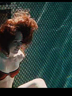 photo gallery id 313108