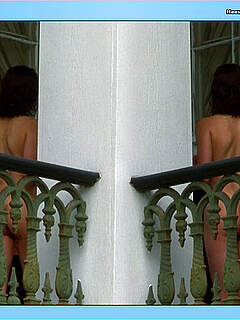 photo gallery id 313727