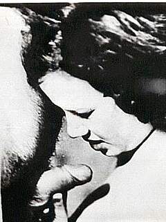 photo gallery id 316806