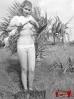 photo gallery id 316826