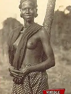 photo gallery id 316904