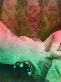 photo gallery id 316996