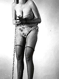 photo gallery id 317088