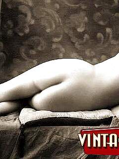 photo gallery id 317095