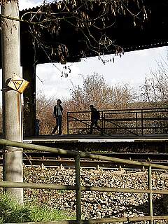 photo gallery id 317176