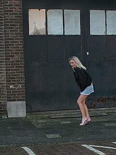 photo gallery id 317209