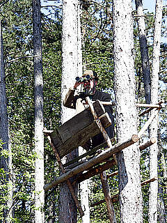 photo gallery id 317770