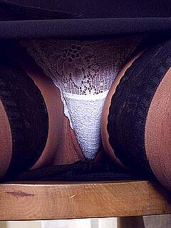 photo gallery id 317948