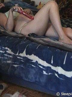 photo gallery id 318652