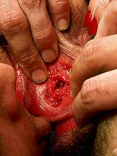 photo gallery id 319470