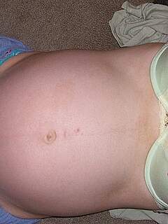 photo gallery id 319575