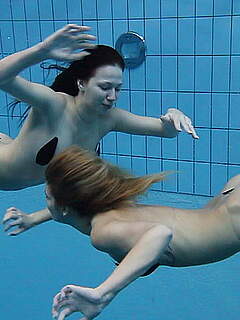 photo gallery id 320393