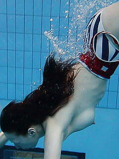 photo gallery id 320395