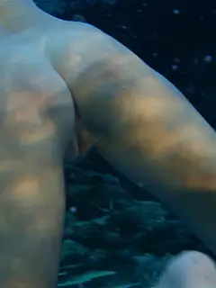 photo gallery id 320397