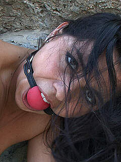 photo gallery id 321067