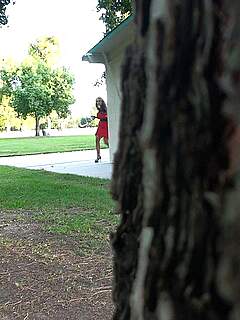 photo gallery id 321869