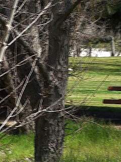 photo gallery id 321872