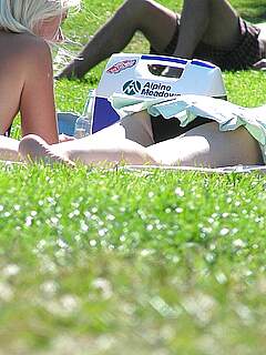 photo gallery id 323148