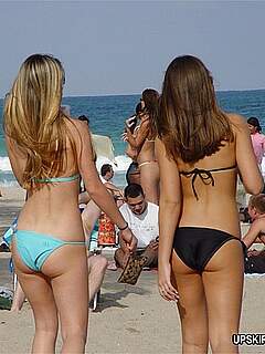 photo gallery id 323214