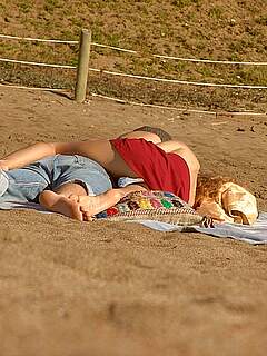 photo gallery id 323222