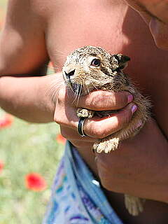 photo gallery id 324619