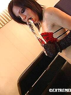 photo gallery id 328178