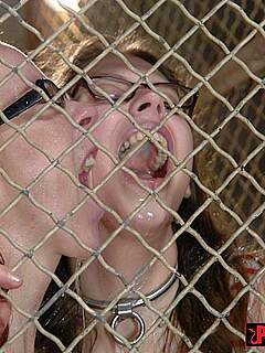 photo gallery id 331373