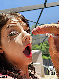 photo gallery id 336584