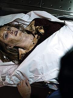 photo gallery id 341957