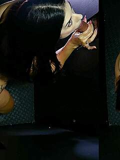 photo gallery id 342230