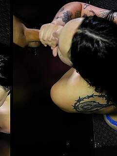 photo gallery id 342242