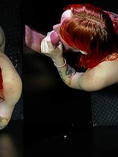 photo gallery id 342250