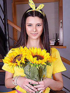 photo gallery id 352149