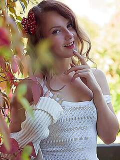 photo gallery id 375904