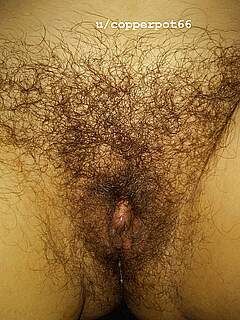 photo gallery id 165320