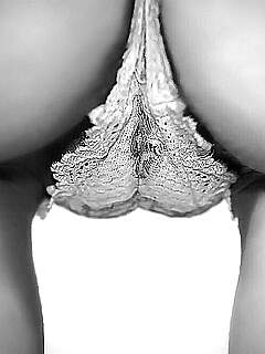 photo gallery id 168357