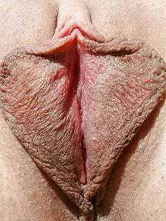 photo gallery id 209677