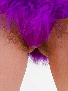 photo gallery id 218964