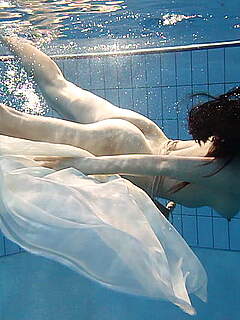 photo gallery id 234485