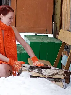 photo gallery id 234819