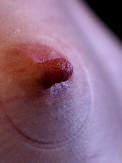 photo gallery id 235491