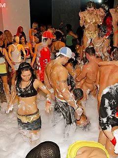 photo gallery id 239347