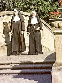 photo gallery id 240997