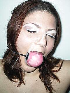 photo gallery id 241138