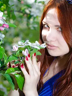 photo gallery id 246278